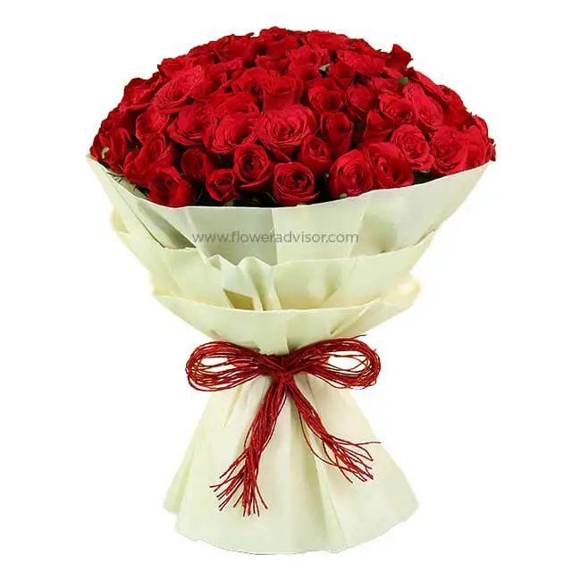 100 Red Roses
