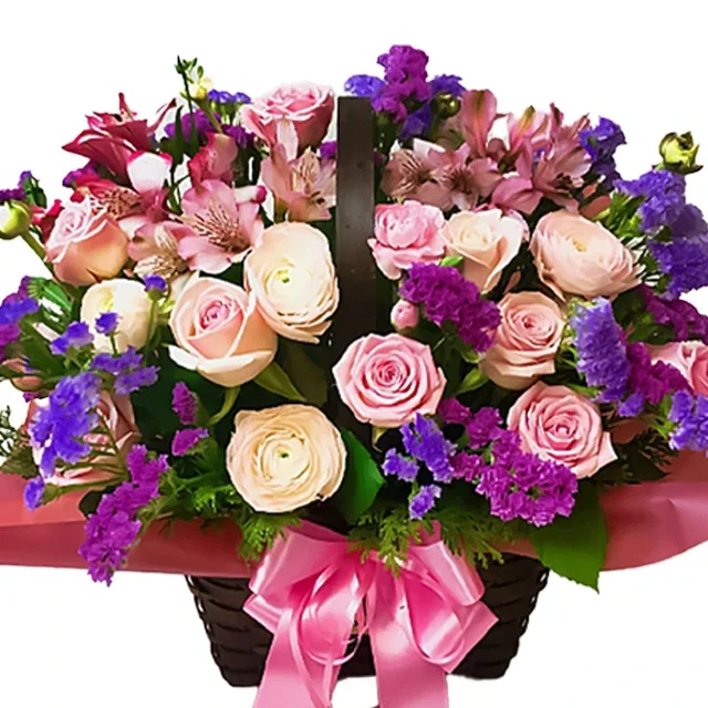 Lovely Bloom